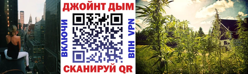 Канабис сатива  магазин продажи наркотиков  Ивдель 